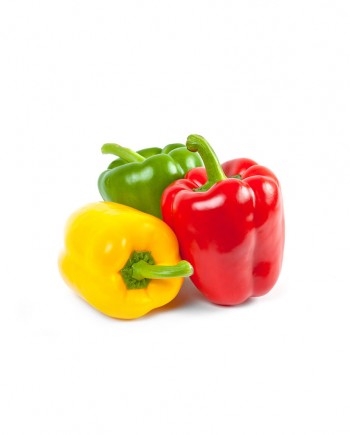 Bell-Pepper-A-V013-827x1024