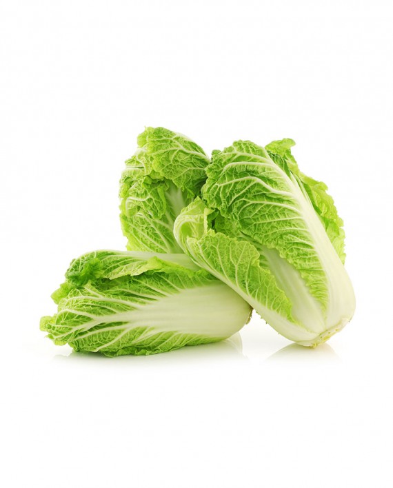 Chinese-Cabbage-A-V027-827x1024