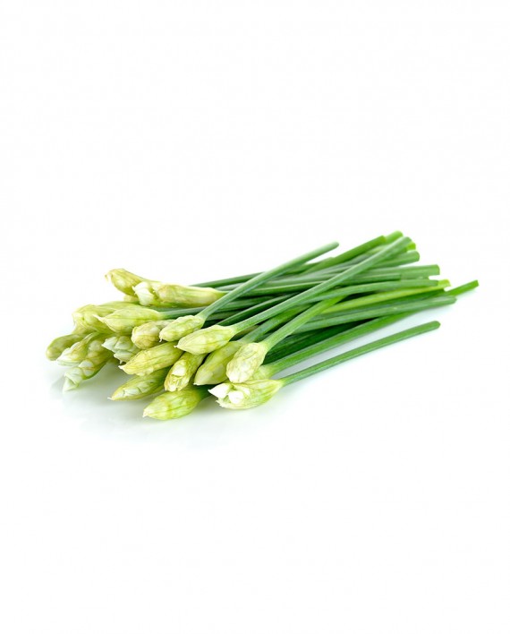 Chive-Flower-A-V029-827x1024