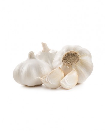 Garlic-A-V037-827x1024