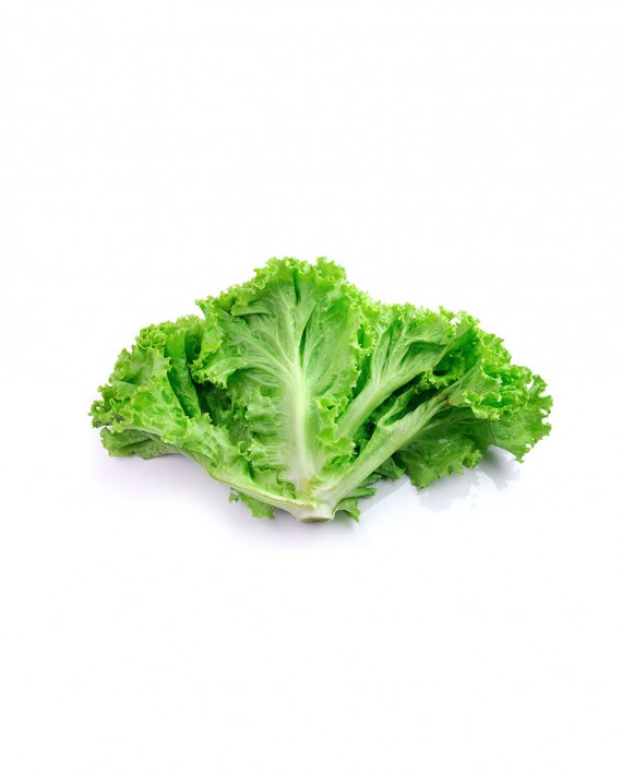 Salad-1-Green-Lettuce-A-V072-827x1024