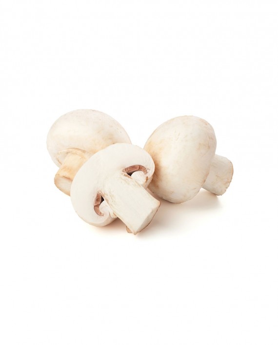 Mushroom-(Champignon)-A-V113-827x1024