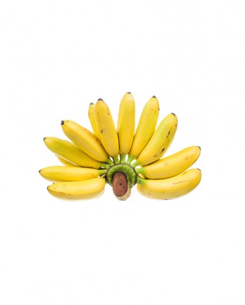 Banana-Golden-A-F051-827x1024