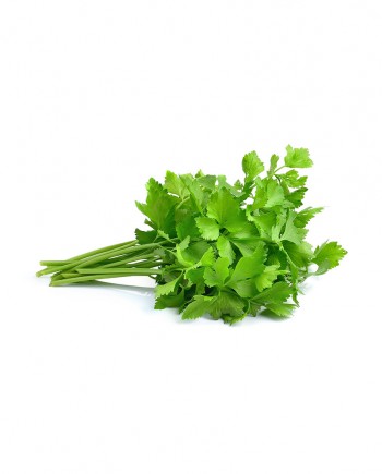 Chinese-Celery-B-V028-827x1024