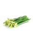 Chive-Flower-A-V029-827x1024