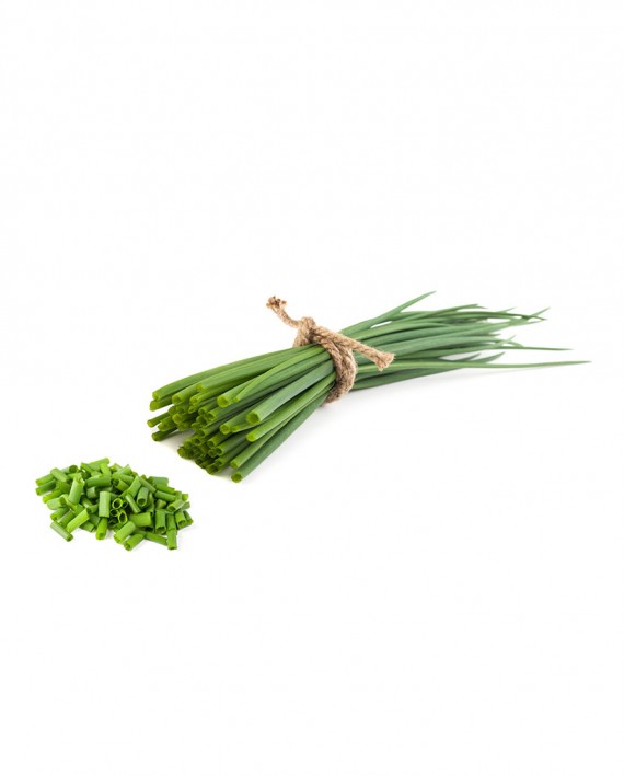 Chive-Leaf-A-V030-827x1024