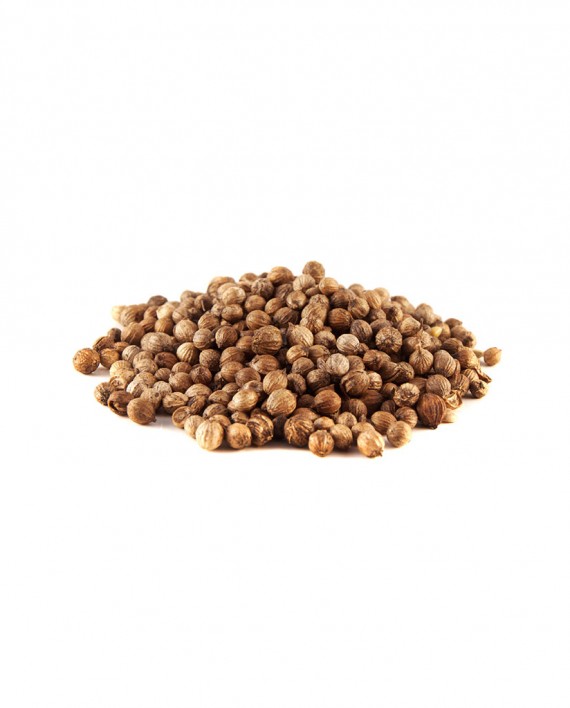 Coriander-Seed-A-S015-827x1024