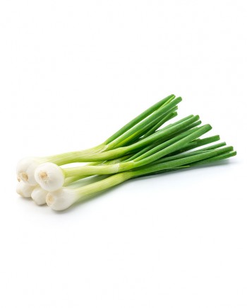 Green-Onion-A-V042-827x1024