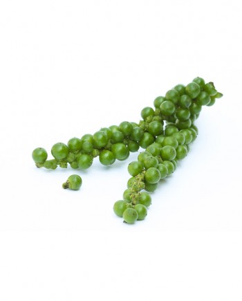 Green-Pepper-A-V044-827x1024