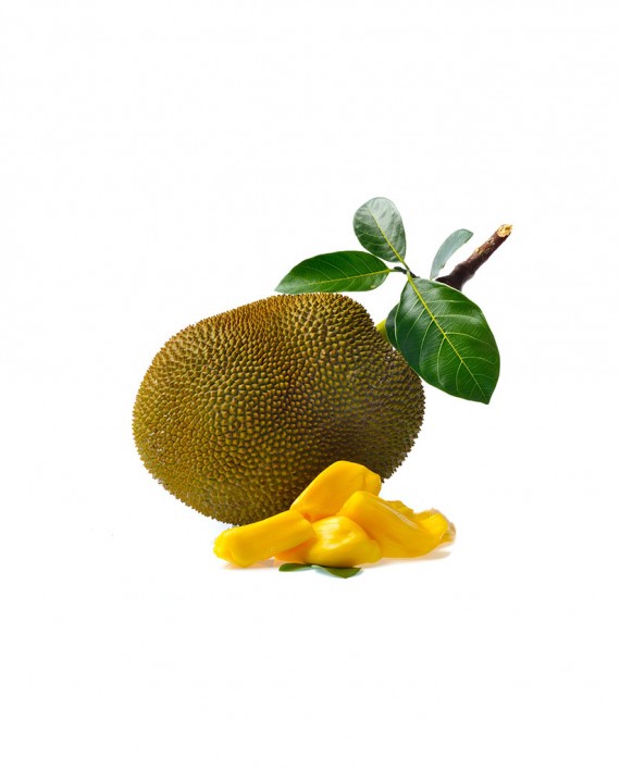 Jackfruit-B-F008-827x1024