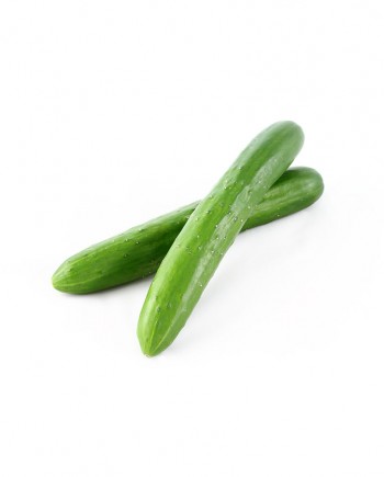 Japanese-Cucumber-A-V046-827x1024