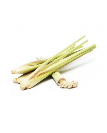 Lemon-Grass-A-V049-827x1024