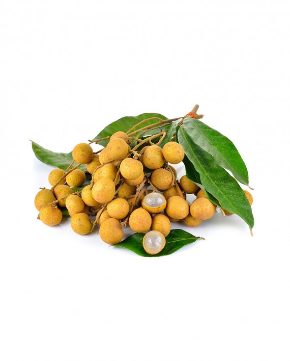 Longan-B-F009-827x1024