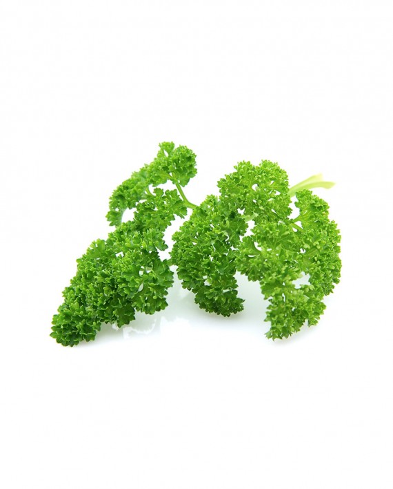 Parsley-A-V058-827x1024