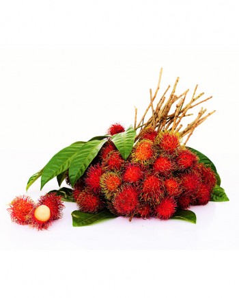 Rambutan-A-F021-827x1024