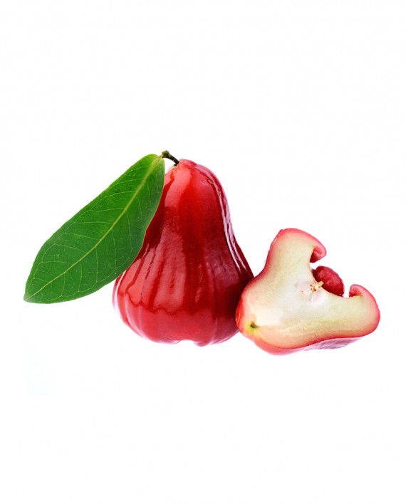 Rose-Apple-A-F022-827x1024