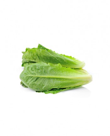 Salad-3-Romaine-Lettuce-A-V074-827x1024