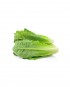 Salad-3-Romaine-Lettuce-A-V074-827x1024