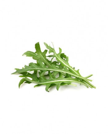 Salad-4-Arugula-A-V075-827x1024