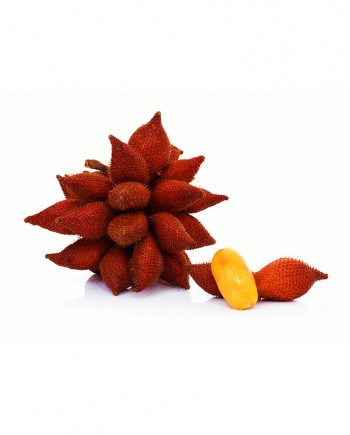 Salak-Palm-A-F023-827x1024