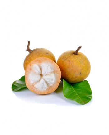 Santol-A-F038-827x1024