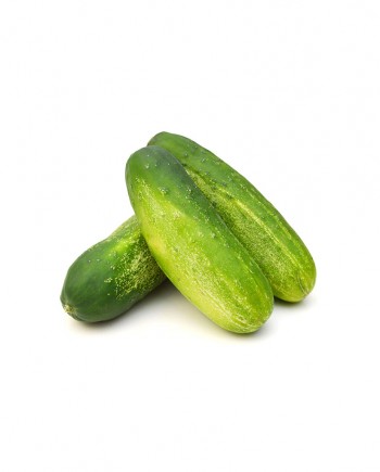 Small-Cucumber-A-V079-827x1024