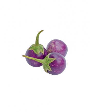 Small-Eggplant-Purple-Aubergine-A-V082-827x1024