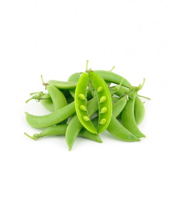 Snap-Pea-A-V084-827x1024