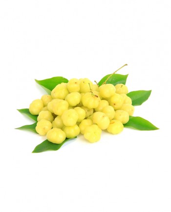 Star-Gooseberry-A-F041-827x1024