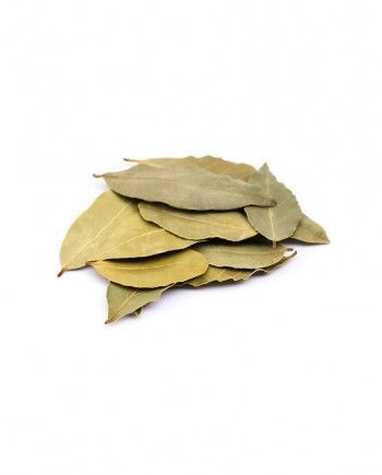 Bay-Leaf-B-S030-827x1024