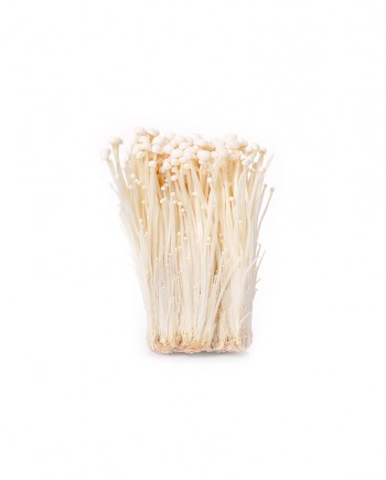 Mushroom-(Enoki)-A-V111-827x1024